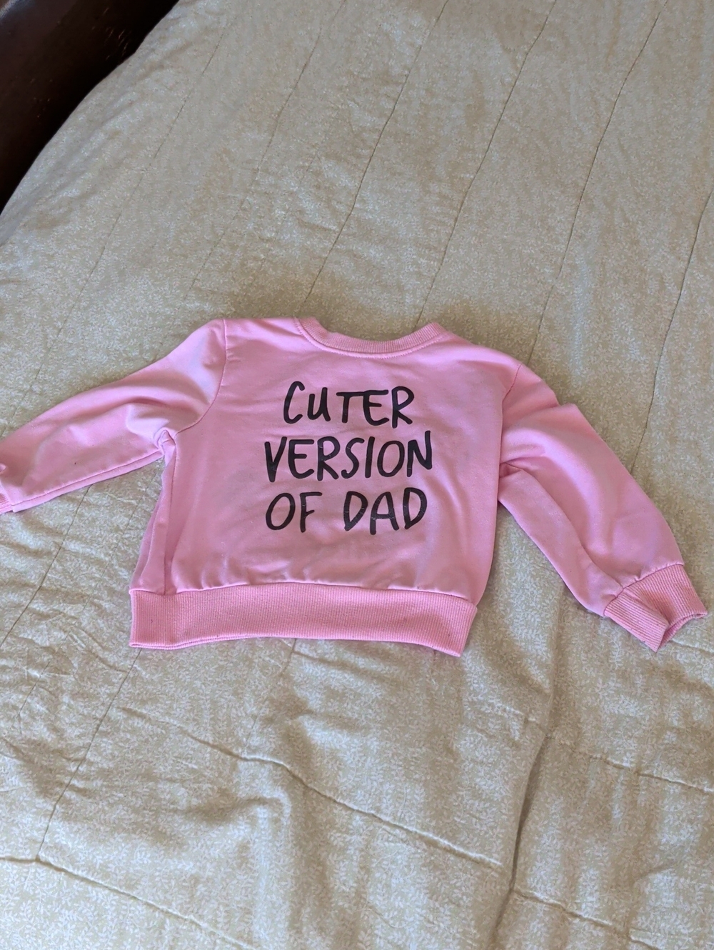 Kids Pink 'Cuter Version of Dad' Pullover Sweatshirt